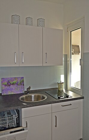 Kühlschrank, Mikrowelle, Herdplatte, Geschirrspüler