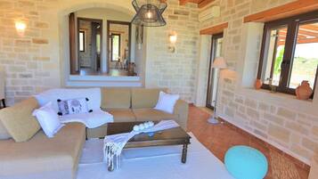 TV, fireplace, video games, DVD player