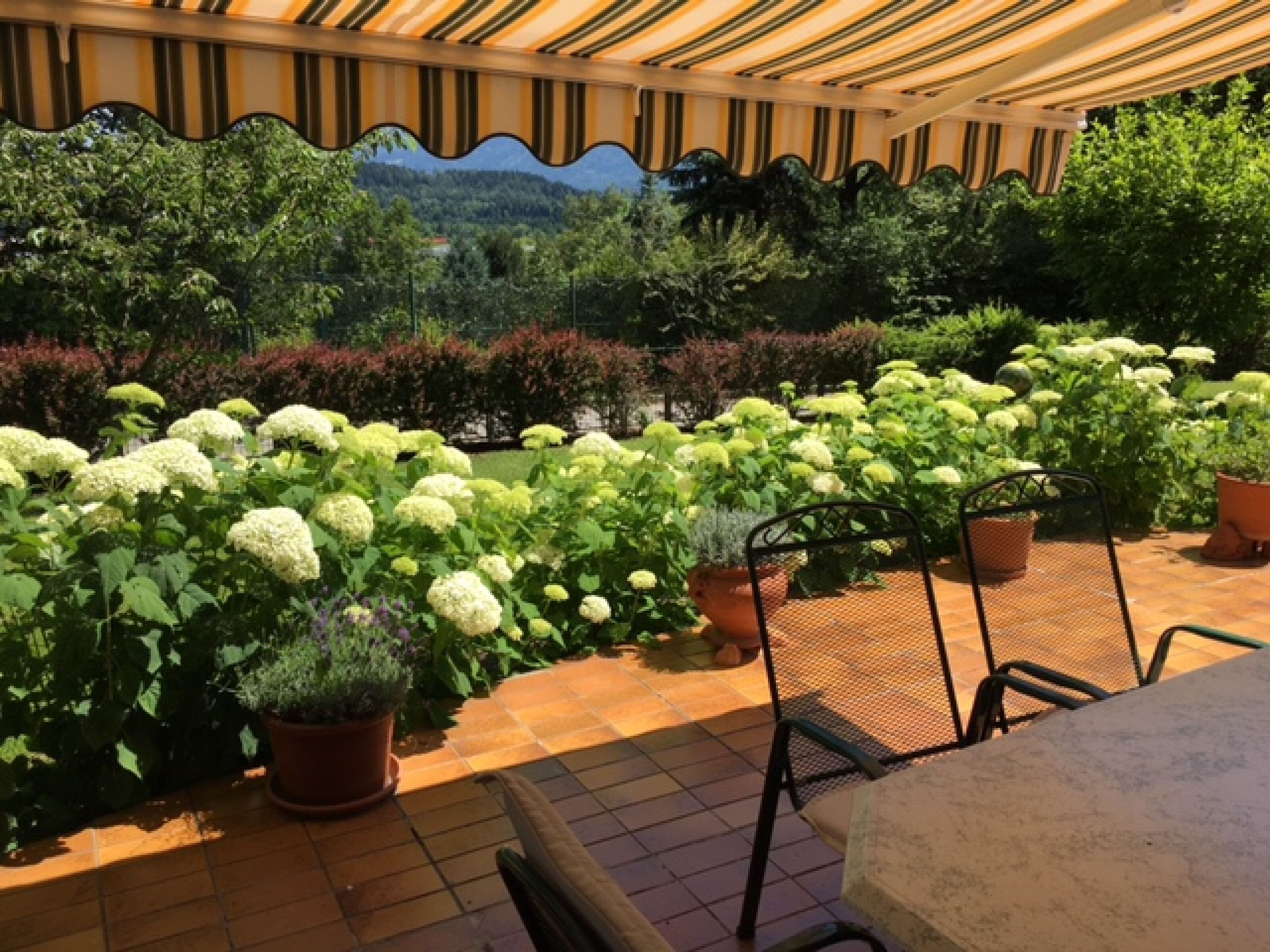 Dream apartment with a huge terrace in a cottage location with a remote view of the Karawanken