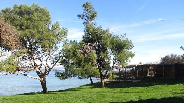 A grassy area with trees and a wooden structure by a body of water. - Cozy 3-Bedroom Haven, Perfect for 5, With Parking Space (Ližnjan)