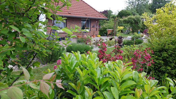 Un jardín con diversas plantas y flores frente a una casa de techo rojo.