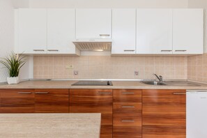 Kühlschrank, Mikrowelle, Herdplatte, Geschirrspüler