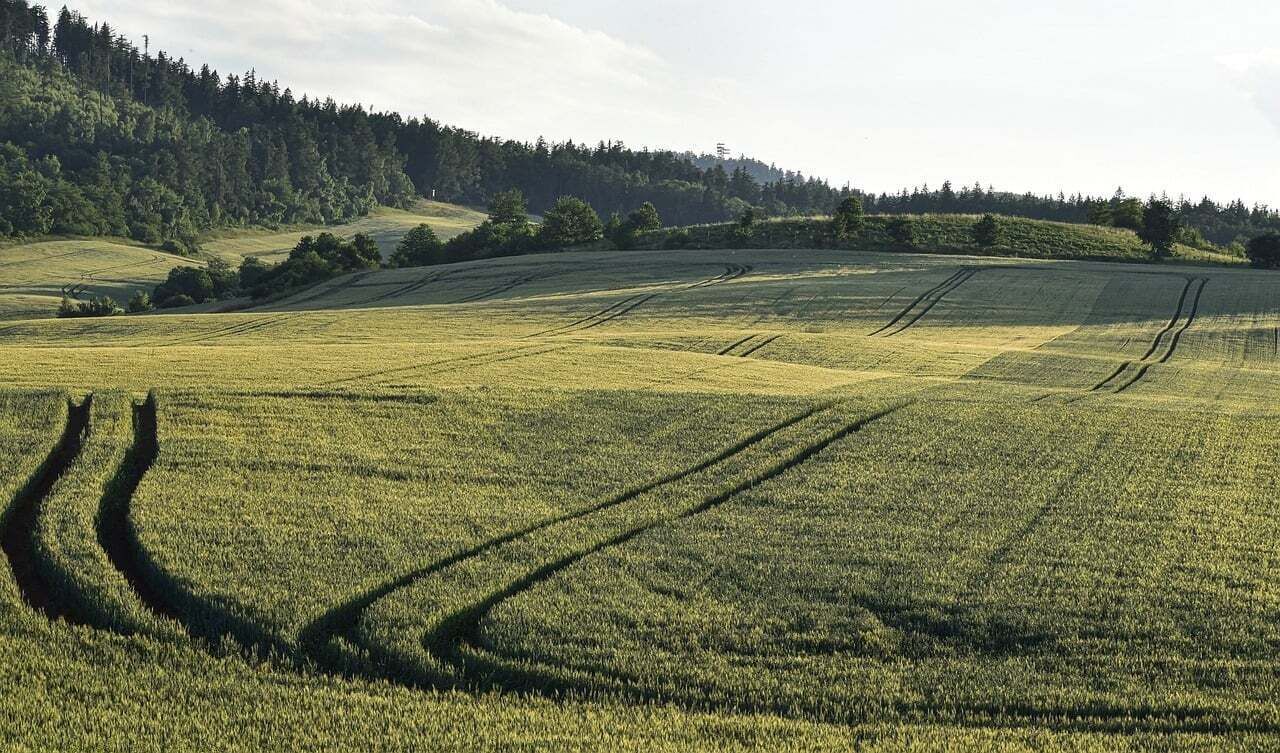 Ulkoalueet