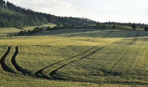Ulkoalueet