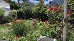 A garden with a pergola structure, various flowering plants, and a mountainous backdrop. - Family-friendly, sunny holiday home with pool, splendid views and solar power (Cape Town)