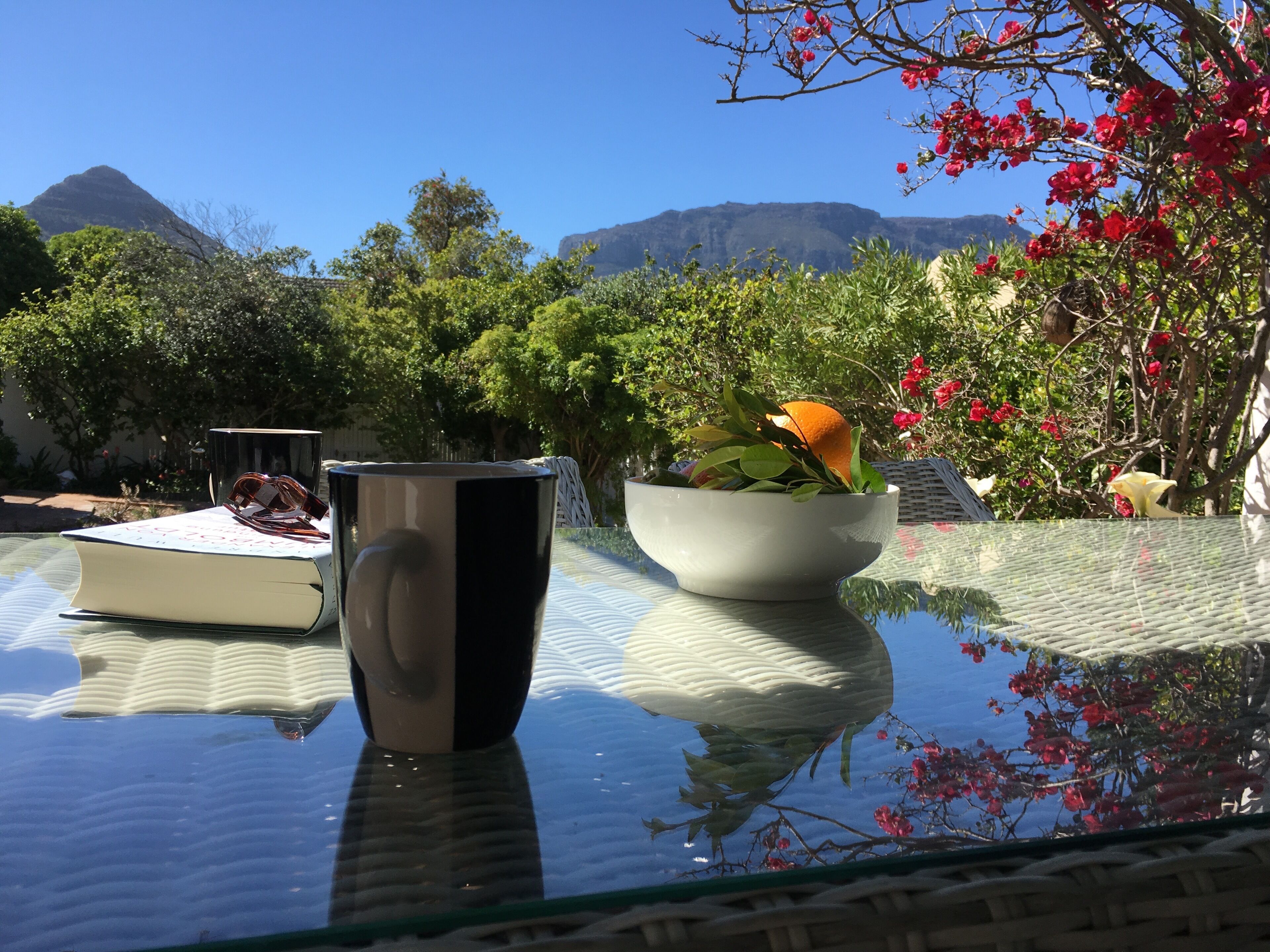 Ein Tisch mit einer schwarzen Tasse, einer Schale mit einer orangefarbenen und grünen Pflanze sowie einem Buch.