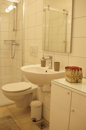 Douche, sèche-cheveux, serviettes fournies, savon