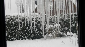A snowy landscape with icicles hanging from a roof, snow-covered bushes, and a brick wall in the background.