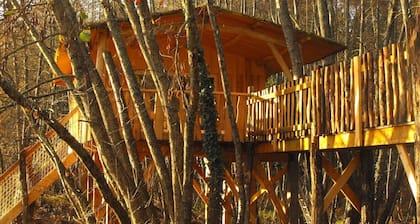 Casa del árbol