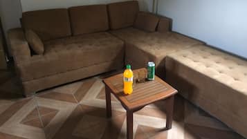 TV, DVD player, music library, video library
