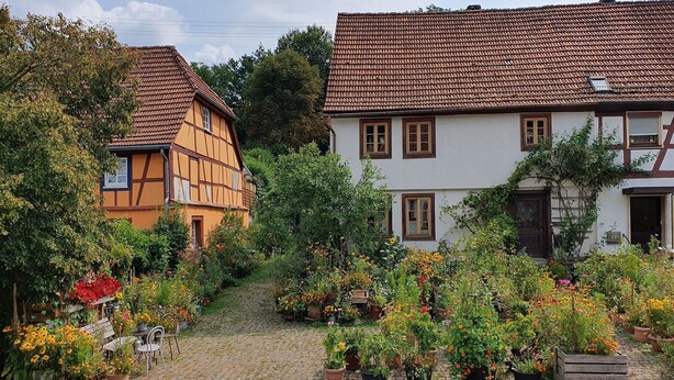 A cobblestone pathway leading to traditional European-style houses with flower gardens and outdoor seating.