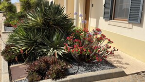 A Mediterranean-style building with a garden featuring agave plants and red flowers. - Vila Marquês da Luz, ideal villa for guests looking for peace and quiet, sea view 1 floor (Luz)