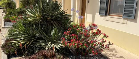 Een gebouw in mediterrane stijl met een tuin met agaveplanten en rode bloemen.