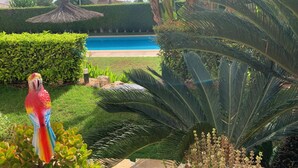 A pool area with a clear view of a building in the background, surrounded by well-maintained greenery and a tropical plant. - Very nice house with terrace and pool (Roda)