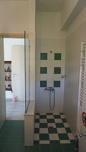 Bathtub, hair dryer, towels, soap