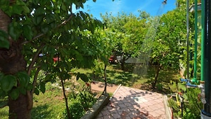 Un jardin avec un chemin dallé, des arbres et un élément décoratif aquatique.