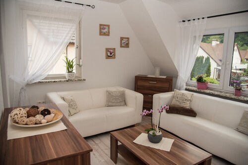 Dogs are welcome, no cats please!