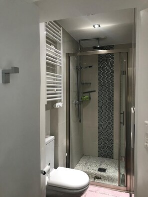 Shower, hair dryer
