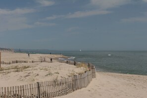 Playa en los alrededores 