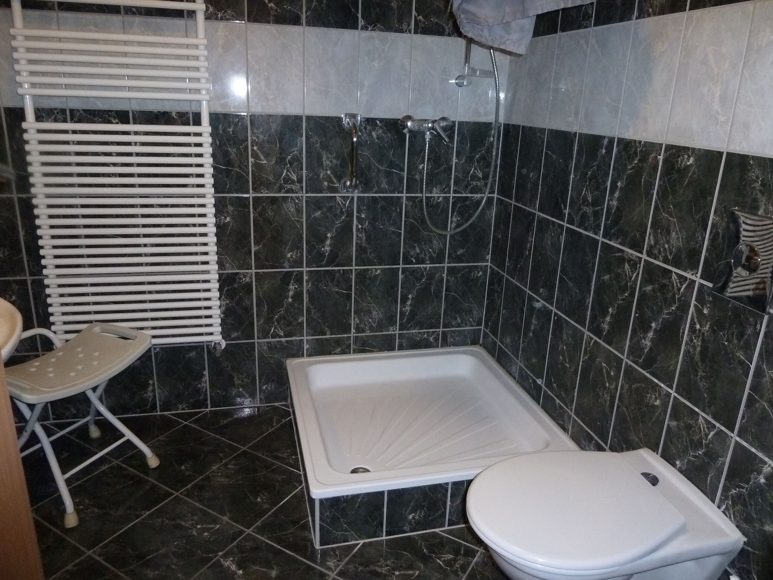 Shower, hair dryer, towels, toilet paper