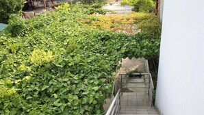 A staircase surrounded by dense green foliage. - Apartment Sonja with a great terrace, near the beach, close to center (Krk)