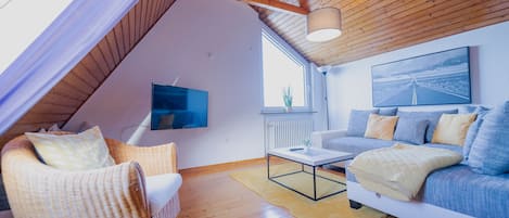 智能电视、DVD 播放器、书