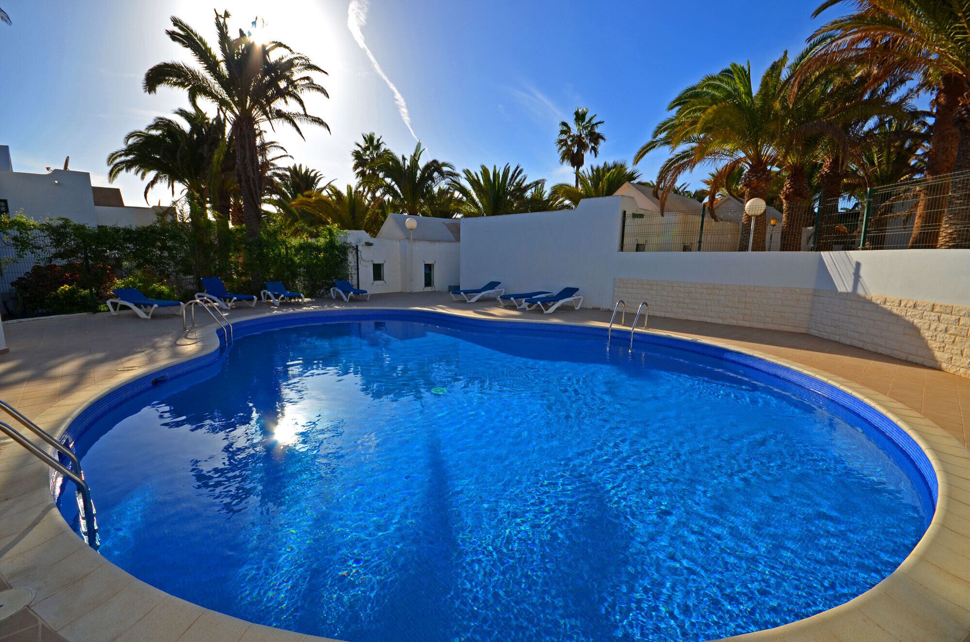 A swimming pool with clear blue water, surrounded by palm trees and lounge chairs.