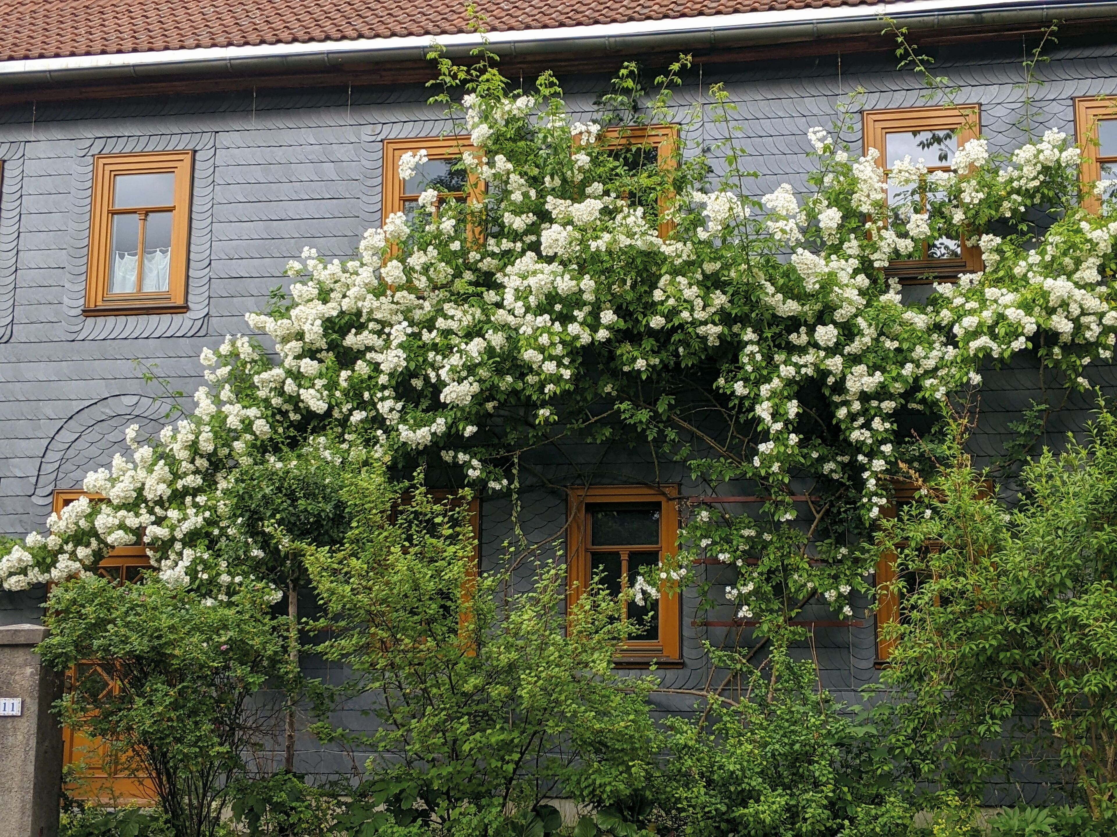 Huasfront / Front of the house