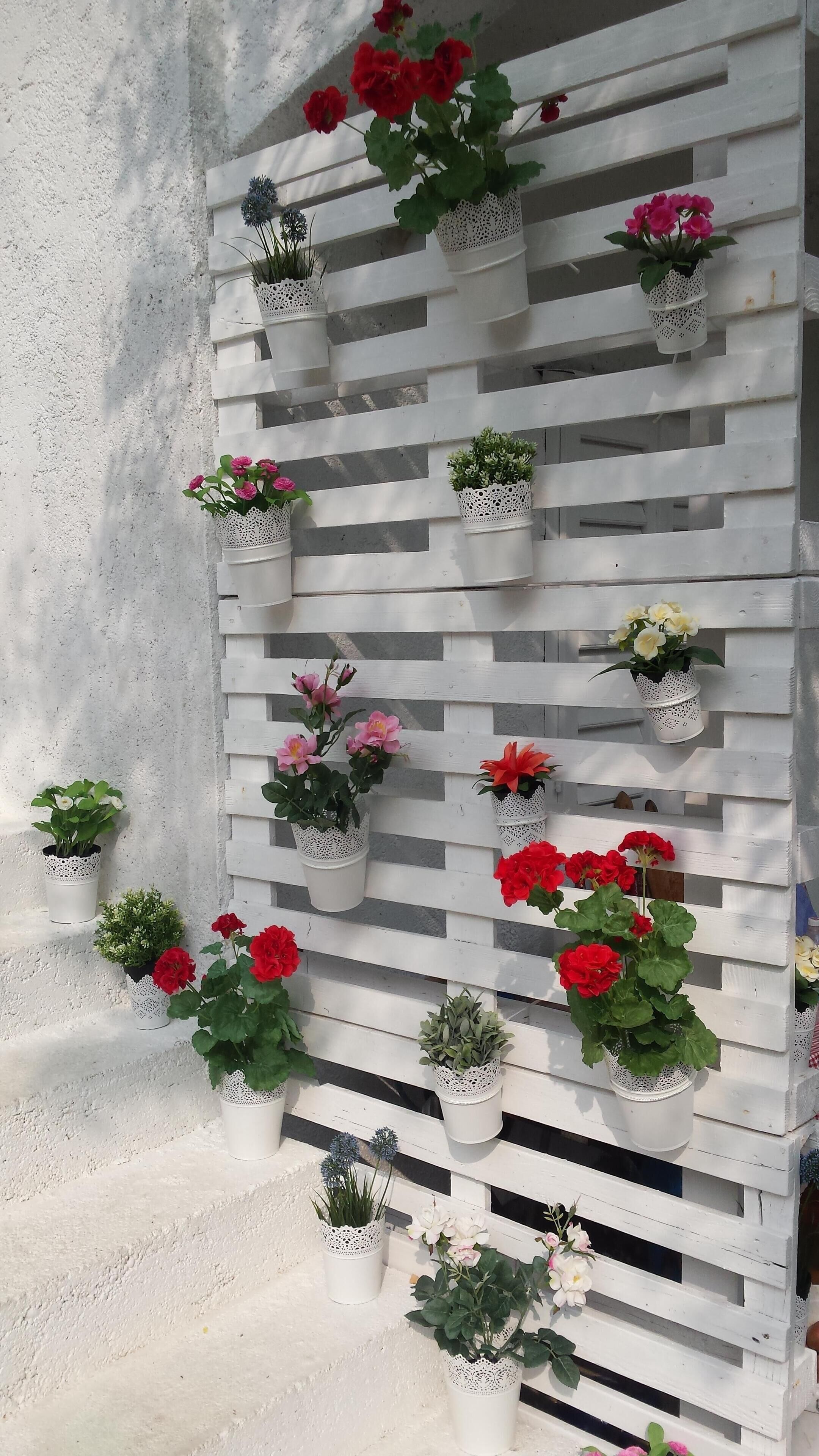 A white wooden wall with multiple white planters containing various flowers and plants.