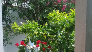 A balcony with a white balustrade, potted plants, and a tiled floor. - A romantic Mediterranean apartment (Barbat na Rabu)