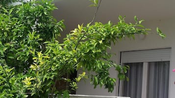 Außendetails