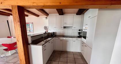 Apartment (4 1/2 Zimmer) mit Panoramabalkon, Seezugang und Sauna