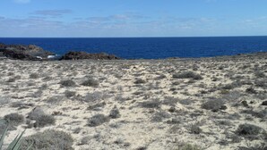 Paesaggio costiero con vegetazione rada e vista aperta sull'oceano.