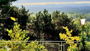 Une vue sur un paysage montagneux, avec une forêt dense et un ciel dégagé.
