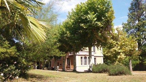 A building with a large tree in front, surrounded by greenery.
