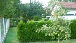 Un jardin bien entretenu, avec des haies taillées avec soin, un arbre fruitier et un bâtiment blanc en arrière-plan.
