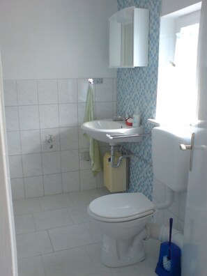 Bathtub, hair dryer, toilet paper