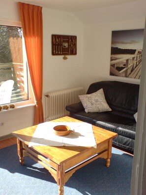 TV, DVD player, books