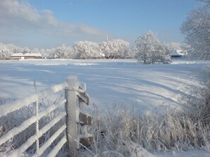 Escape to a serene rural haven with a traditional house and snow-covered fields.