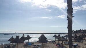Ein Strand mit reetgedeckten Sonnenschirmen, Liegestühlen und einer Palme.