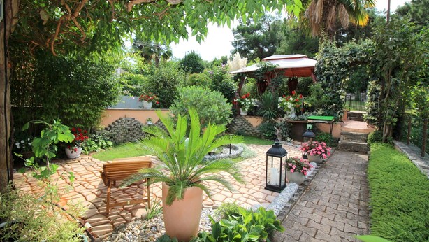 Un jardin agrémenté d’un banc en bois, de plantes en pot, d’un chemin de pierres et d’une pergola couverte de plantes grimpantes.