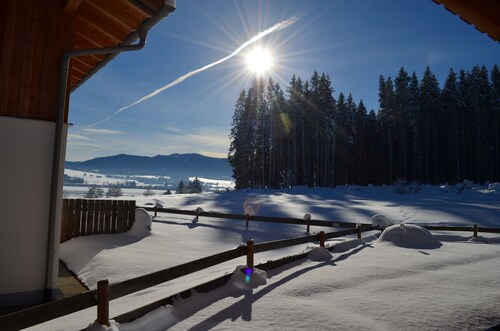 Chalet Waldromantik mit Sauna, Schwedenofen, ruhige Waldrandlage, See -Bergblick
