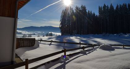 Chalet Waldromantik mit Sauna, Schwedenofen, ruhige Waldrandlage, See -Bergblick