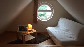 TV, fireplace, books