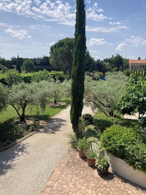 A garden pathway with potted plants and a tall tree. - Aux Mûriers en Provence (Graveson)