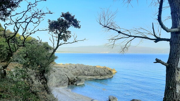 Una costa rocosa con aguas azules cristalinas y un árbol en primer plano.