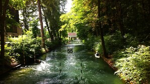 A river with rapids, surrounded by dense greenery and trees.