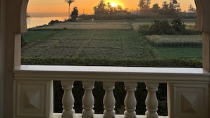 Vista a través de un arco de ventana de un atardecer sobre un campo con palmeras.