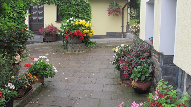 A courtyard with potted plants and flowers, a stone pathway, and a building with a tiled roof.