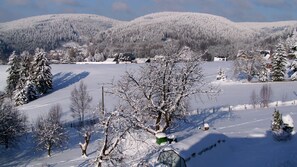 A snowy landscape with a village, houses, and trees covered in snow.